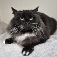 Photo of Tilly