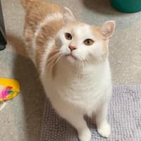 Photo of 10541   Lenny