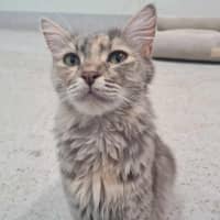 Photo of Tutu
