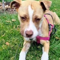 Photo of Ellie Valenti