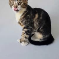 Photo of Elliette 