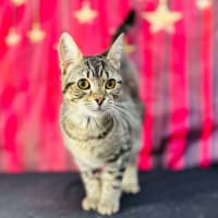 Photo of Giselle   Located In Preston 