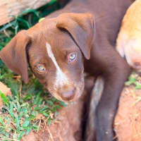 Photo of Byers