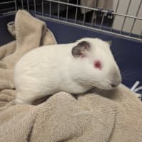 Photo of Barnaby
