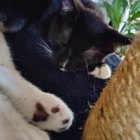 Photo of 🌸 Delta 🌸