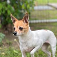 Photo of Milly