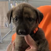 Photo of Tin Tin 27kg