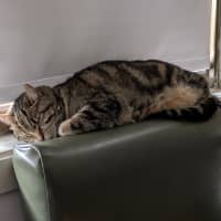 Photo of Dee