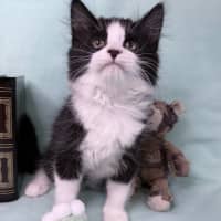 Photo of Gracie May 🌷