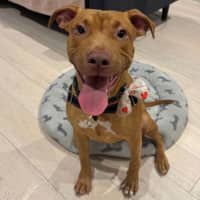 Photo of Max