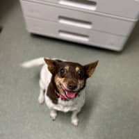 Photo of Buggerluggs