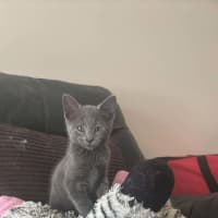 Photo of Zeus