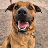 Photo of Biggie Paws