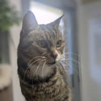 Photo of 🌱 Mochi 6381 🌱