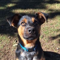 Photo of Nelly