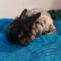 Photo of Jackpot 