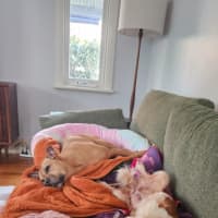 Photo of Lexi