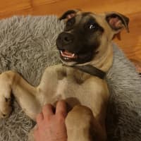 Photo of Marcel (Max)