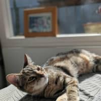 Photo of Milah