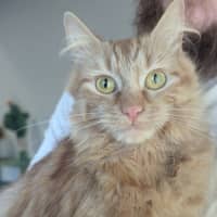 Photo of River & Genevieve