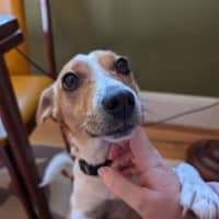 Photo of Chip Douglas