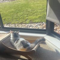 Photo of Kevin 