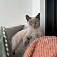 Photo of Jazzi 