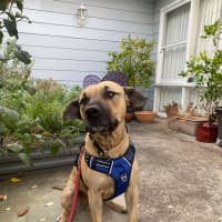 Photo of Turbo 