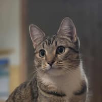 Photo of Miah