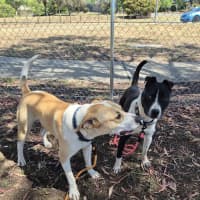 Photo of Butters! 🧈💛