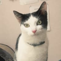 Photo of Tuna (9219)