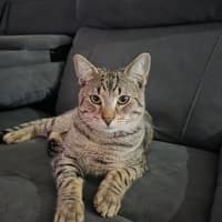 Photo of Chase