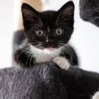 Photo of Rocket