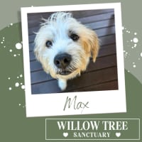 Photo of Max