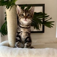 Photo of Spike