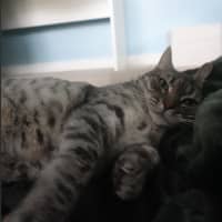 Photo of Kiara