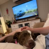 Photo of Marnie