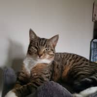 Photo of Luna