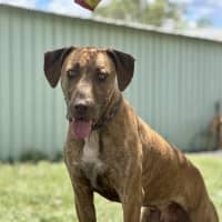 Photo of Jax