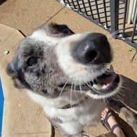 Photo of Mabel