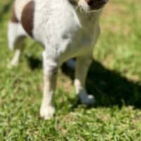 Photo of Potter