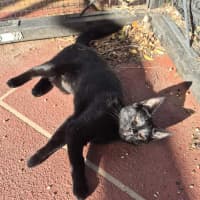 Photo of Velma