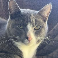 Photo of Scooter