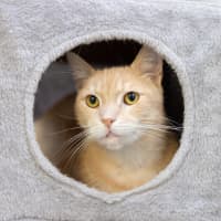 Photo of Tiggah