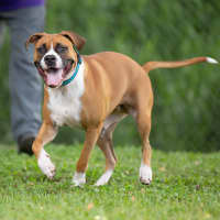 Photo of Bucky