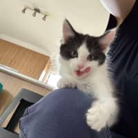 Photo of Benny & Gatsby