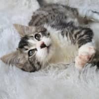 Photo of Charlotte