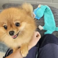 Photo of Evie