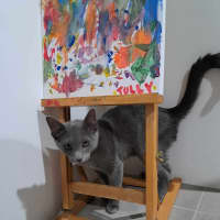 Photo of Zephyr
