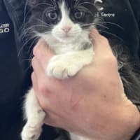 Photo of Luther Sickel